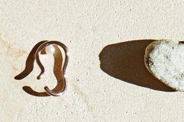 Spring 2024 Collection "Liner Cuff"