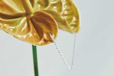 Autumn 2024 Collection "Mist Pink"